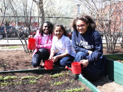 students gardening